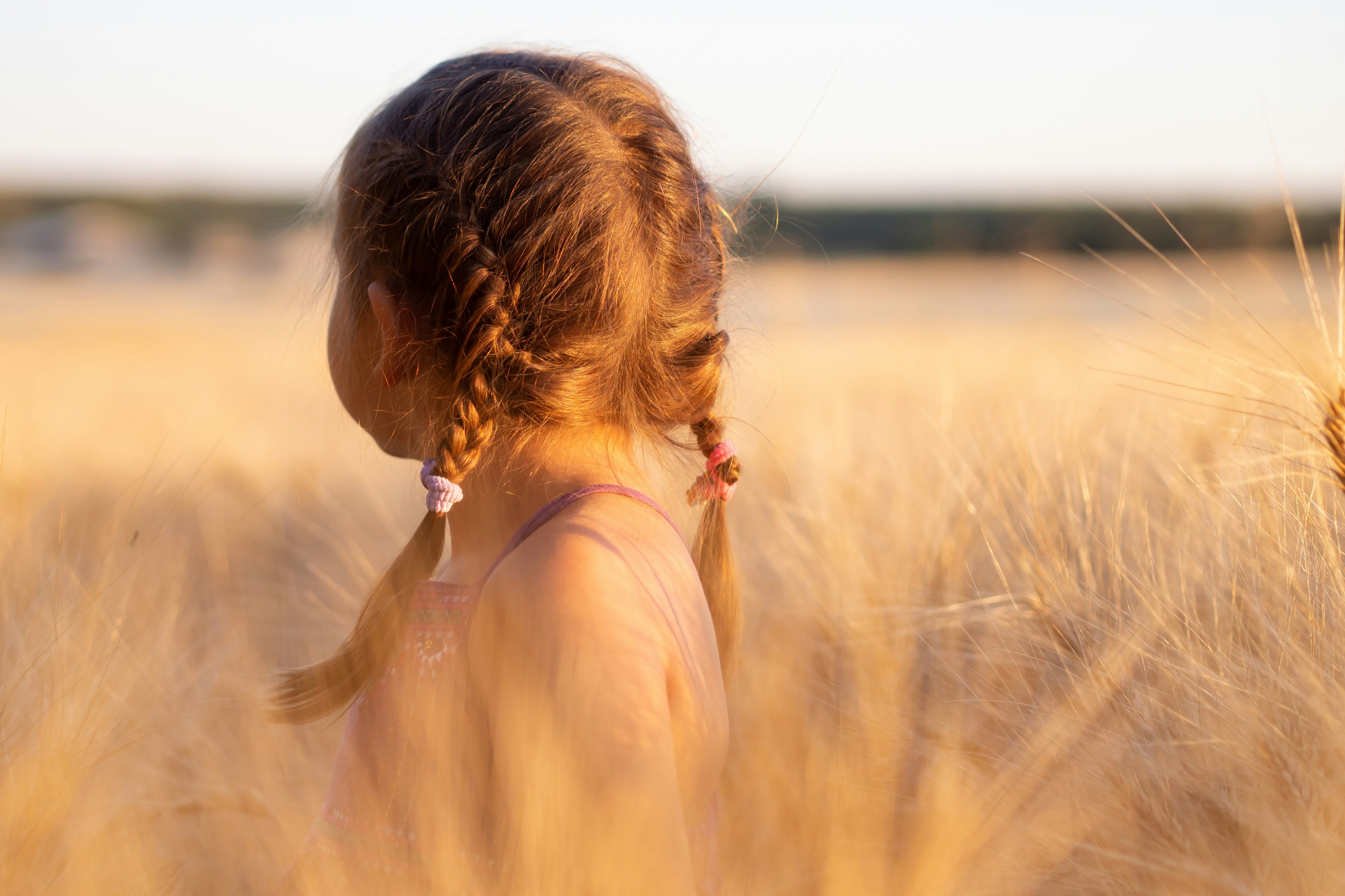 Image via unsplash.com Child with braids in their hair looks over a field